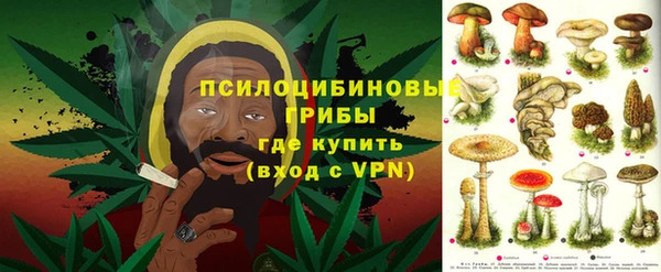 винт Абаза
