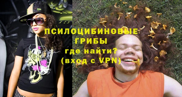 винт Абаза
