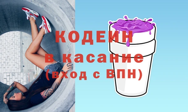 молекула духа Новозыбков