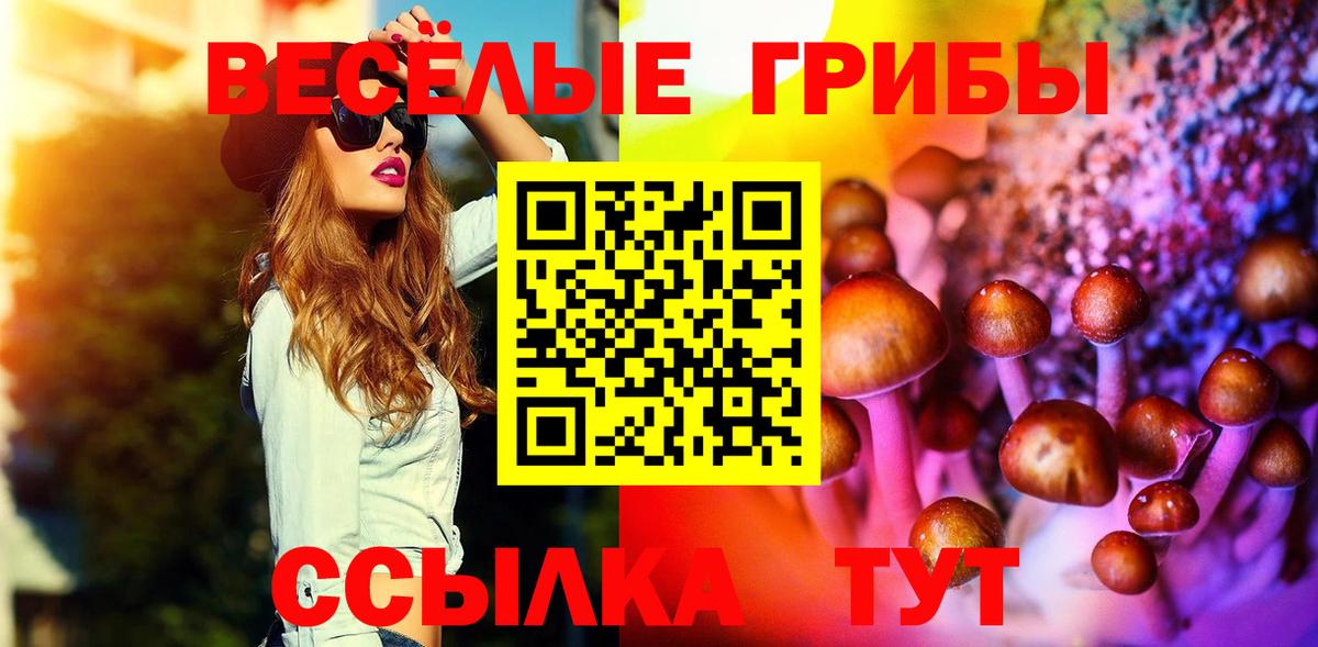 Галлюциногенные грибы Magic Shrooms Киров