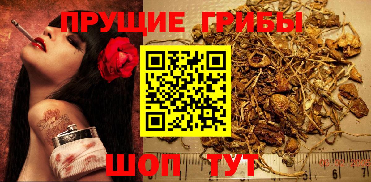 Киров  Галлюциногенные грибы ЛСД  Вход с VPN  Псилоцибиновые грибы MAGIC MUSHROOMS 